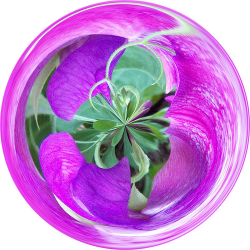 Media_httpfarm4staticflickrcom3210268562632115e8496f9ejpg_zgbivqzfhzxhehh