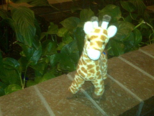 Media_cardblackberrypicturesim