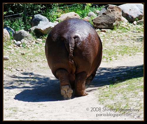 Media_httpfarm4staticflickrcom31342872876640afa015e531jpg_relptdglabpgdug