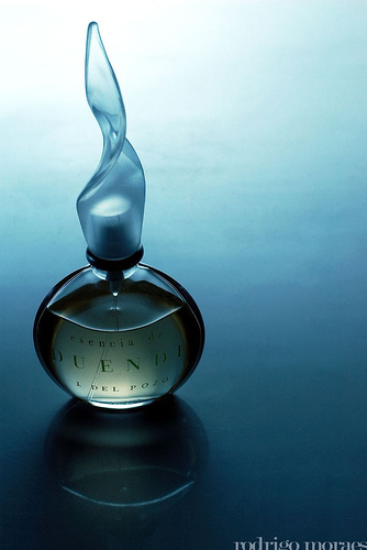 Media_httpfarm1static_cgfpp