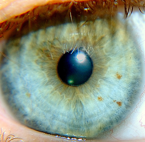 Media_httpfarm3static_niukp